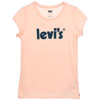 levis---camiseta-de-manga-corta-basic poster